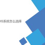 wms系統怎么選擇？